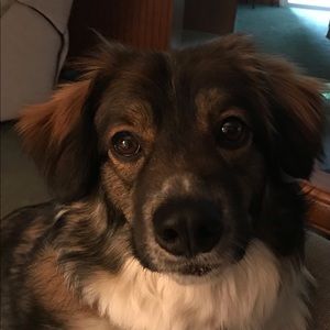 Meet your Posher, Paula